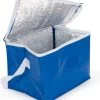 Merkloos PVC Mini Koeltasje | Koeltas Lunch | Compacte Koeltas Blauw | Koeltasje Voor 6 Blikjes