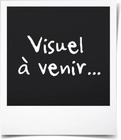 Intex Prime Comfort - Luchtbed - 1-Persoons - 99x191x51 Cm (BxLxH) - Grijs - Met Ingebouwde Motorpomp 19 Intex Prime Comfort - Luchtbed - 1-Persoons - 99x191x51 Cm (BxLxH) - Grijs - Met Ingebouwde Motorpomp -Campingwinkel 1031x1200 1