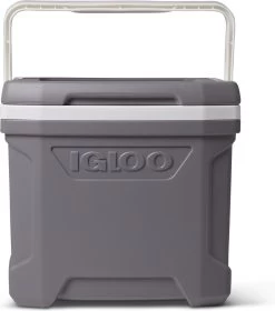 Igloo Profile II 16 - Kleine Koelbox - 15 Liter - Grijs -Campingwinkel 1059x1200 1