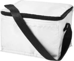 Koeltas - Mini Koeltas - Geschikt Voor 6 Blikjes - Compact Koeltas + 2 Koelelementen - Rheme -Campingwinkel 1200x1001