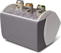 Igloo Playmate Elite - Kleine Koelbox - 15,2 Liter - Grijs -Campingwinkel 1200x1046 7