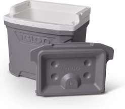 Igloo Profile II 16 - Kleine Koelbox - 15 Liter - Grijs -Campingwinkel 1200x1049 3