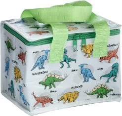 Kleine Lunch/sixpack Koeltas - Dinosaurus Print - 21 X 16 Cm - 4,7 L -Campingwinkel 1200x1140 4