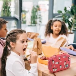 Brisby 4 Laags Geïsoleerde Koeltas - Lunchtas 1.5 Liter - Roze Pinguïn -Campingwinkel 1200x1200 1316