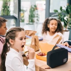 Brisby 4 Laags Geïsoleerde Koeltas - Lunchtas 1.5 Liter - Zwart -Campingwinkel 1200x1200 1723