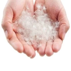 LOWLAND OUTDOOR® Donzen Slaapzak - Super Compact Blanket - 210 X 80 Cm - 590gr +8°C 15 LOWLAND OUTDOOR® Donzen Slaapzak - Super Compact Blanket - 210 X 80 Cm - 590gr +8°C -Campingwinkel 1200x1200 273