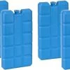 Merkloos Set Van 6x Blauwe Koelelementen 200 Gram 8 X 15 X 2 Cm - Koelblokken/koelelementen Voor Koeltas/koelbox