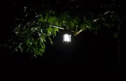 LED Camping Lamp 2 In 1 Hoge Kwaliteit - Zaklamp En Campinglamp - Inclusief AA Batterijen -Campingwinkel 1200x768 4