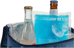 Arte R Koelelementen/icepacks - Herbruikbaar - 15 X 13 X 2 Cm -Campingwinkel 1200x789 6