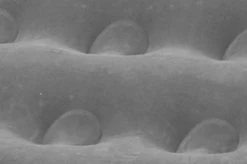 Outwell Flock Excellent Single Luchtbed - 1-Persoons - Grey/black 9 Outwell Flock Excellent Single Luchtbed - 1-Persoons - Grey/black -Campingwinkel 1200x799 78