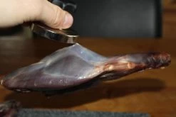 【JACHTMAGNEET / HAGELMAGNEET 】– Jacht Accessoires 2020 – Hagel Verwijderaar – Jagers Cadeau - Wild Magneet -Campingwinkel 1200x800 259