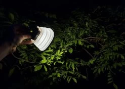 Solar Led Camping Lamp - Tent Verlichting Oplaadbaar - Solar Lantaarn Tafellamp Opvouwbare Campinglamp - King Mungo -Campingwinkel 1200x856 4