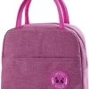 Lunch Bag - Paars/Roze | Koeltas | Polyester / Nylon | 23x15x20 Cm | Fashion Favorite